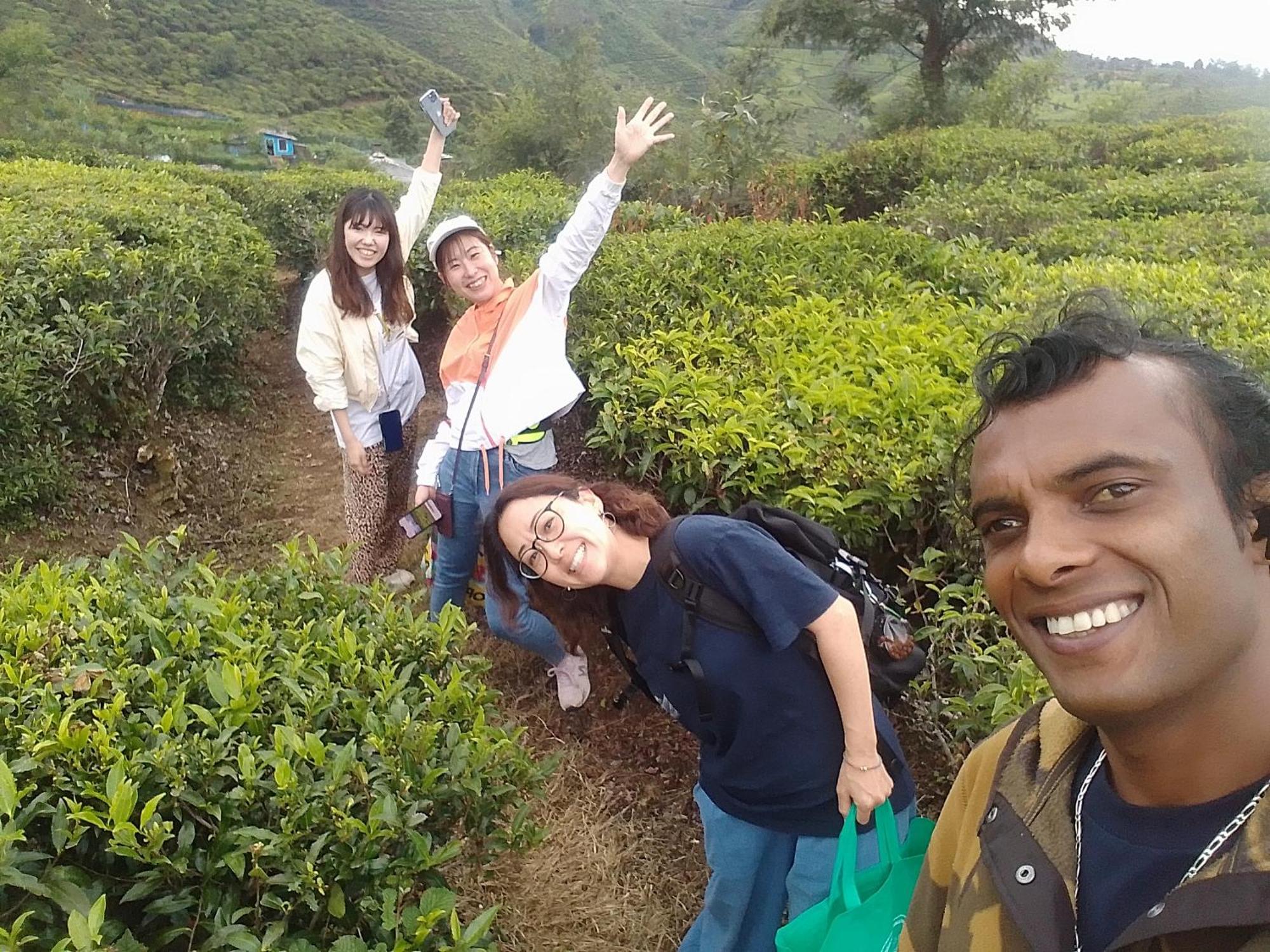 Hikers Inn Nuwara Eliya Zewnętrze zdjęcie